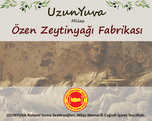 ozen-uzunyuva-zeytinyagi